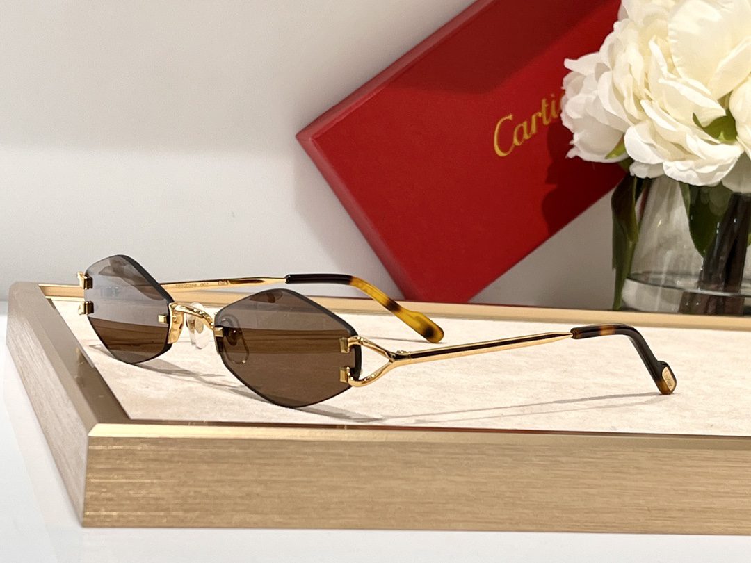 CARTIER SUNGLASSES