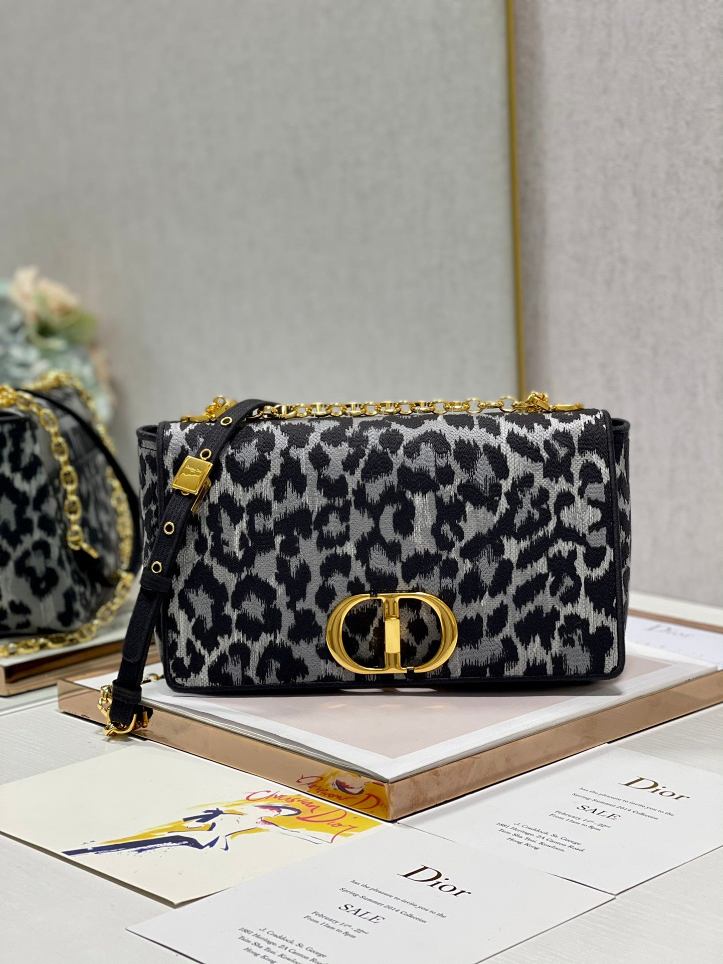 DIOR CARO BAG