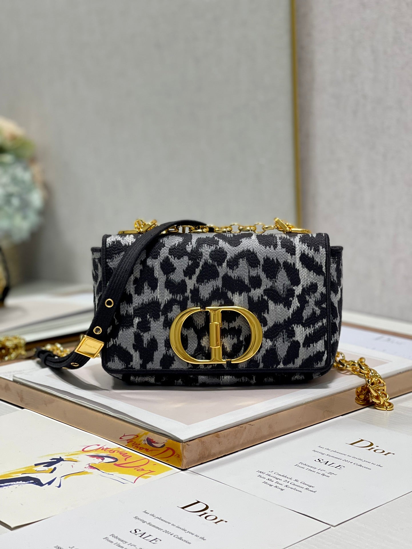 DIOR CARO BAG